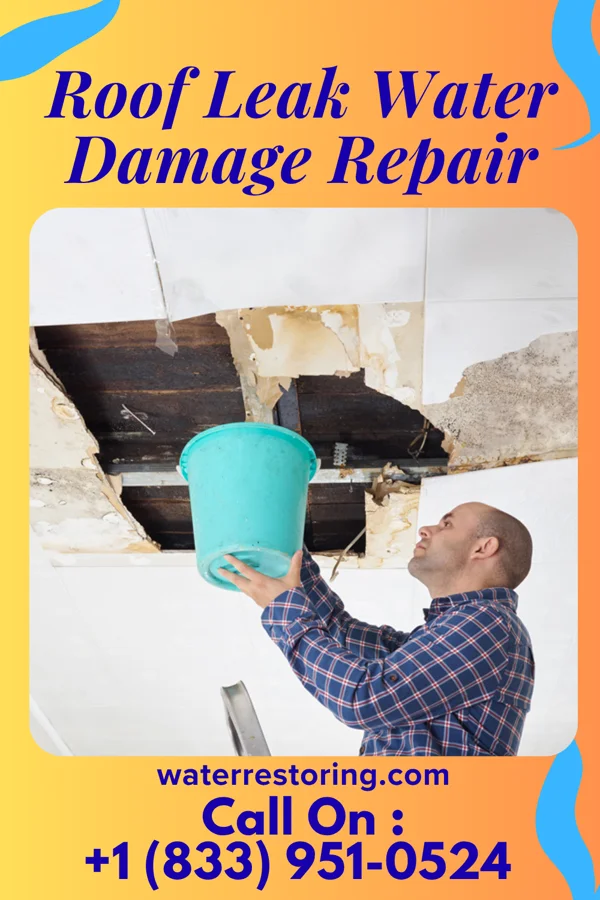Roof Leak Water Damage Repair in Utica, MS