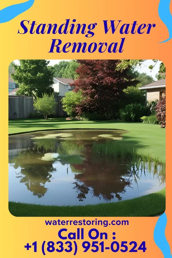 Standing Water Removal in Utica, MS